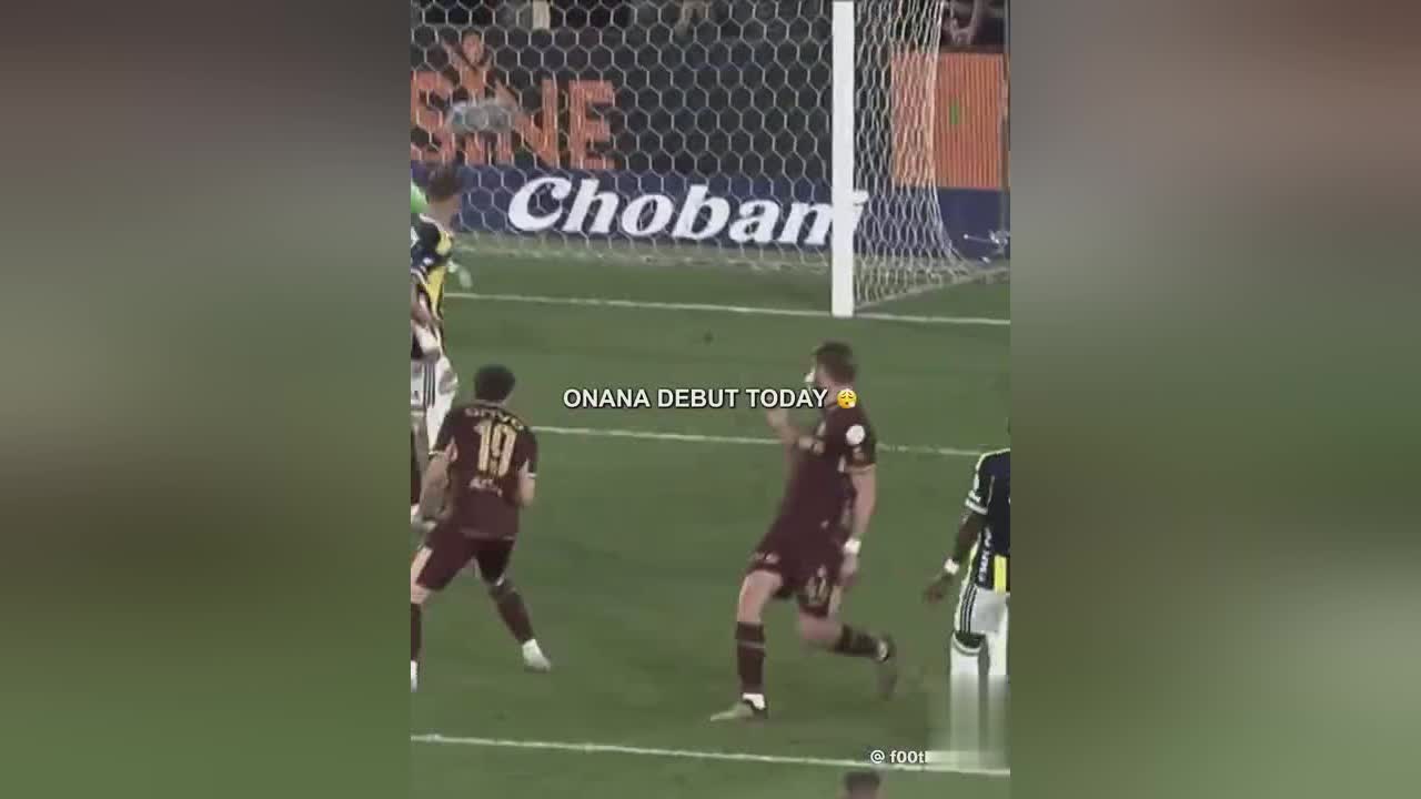 dingy, 舒服 dingy, 舒服