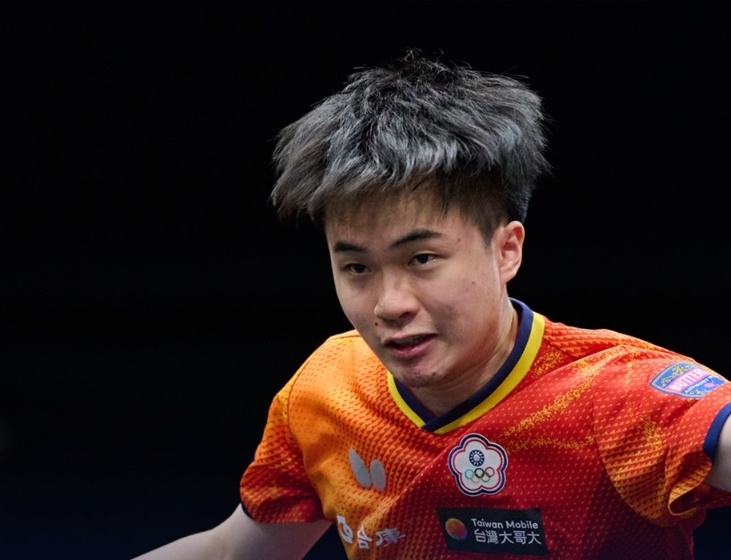 回应, news 回应, news