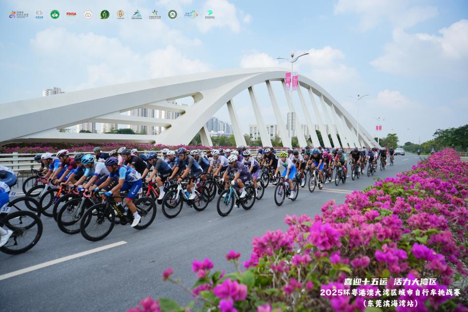 速度与激情 速度与激情